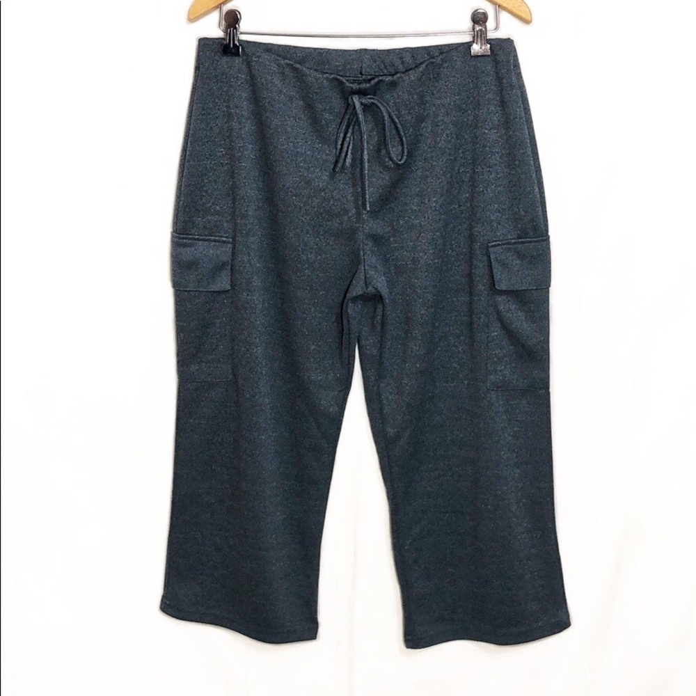 <NWOT>Pretty Girl Gray Cropped Pants